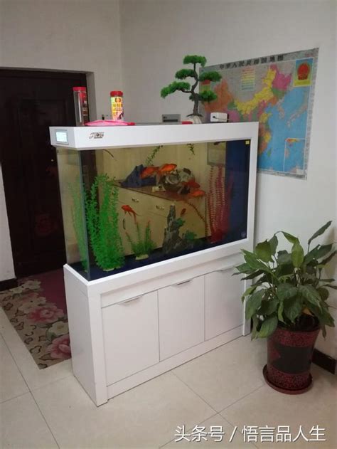 室內養魚